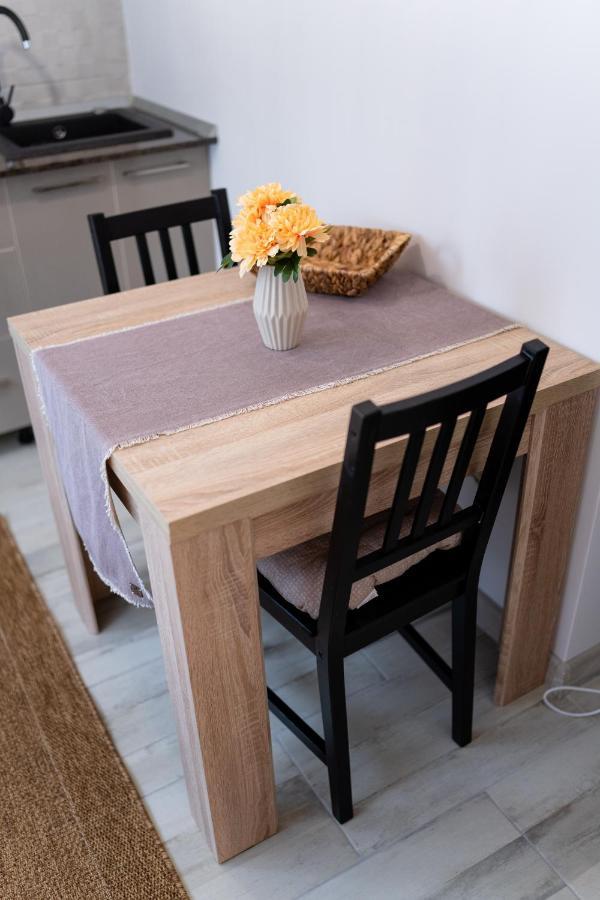 Apartament Alessia Ντρομπέτα-Τούρνου Σεβερίν Εξωτερικό φωτογραφία